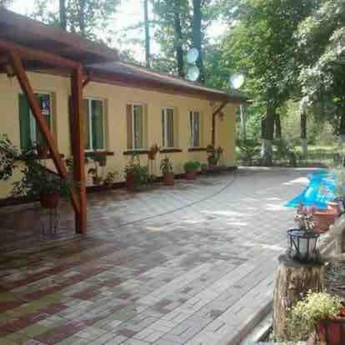 Pensiunea Sub Stejari Banesti ! Self Service ! Self Check-In! エクステリア 写真